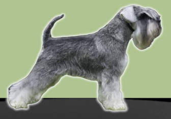 Percy Pepper Androis