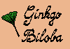 Ginkgo z Apatyky